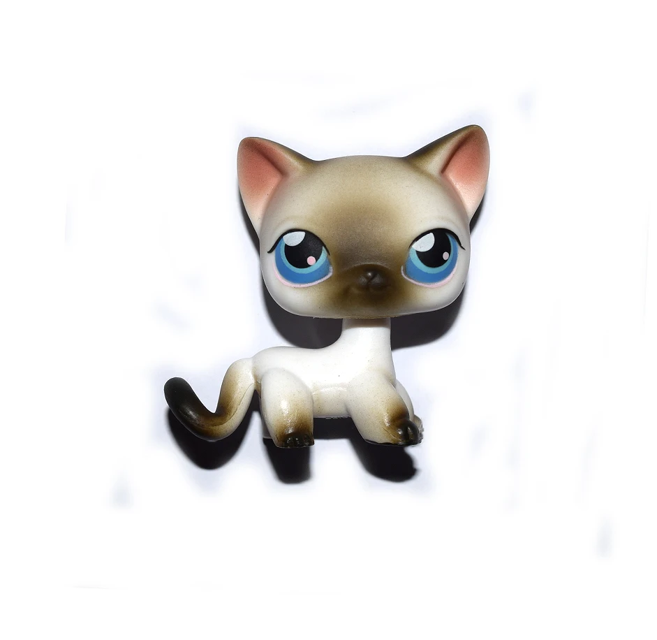 BlueEyesWhiteBlackCat_zpsfiwhhwef