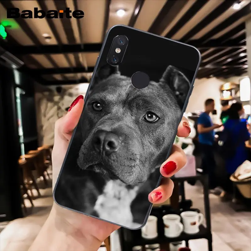 Babaite питбуль прекрасная собака защитный чехол для телефона для Xiaomi MiA1 A2 lite F1 Redmi8 6A 4X 5Plus S2 Note7 8Pro 5A 7A