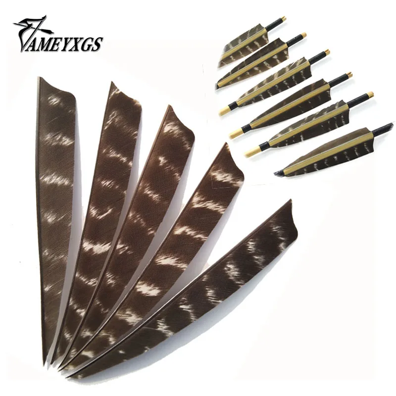 Buy 60Pcs Archery 5 inch Arrow Feather Shield