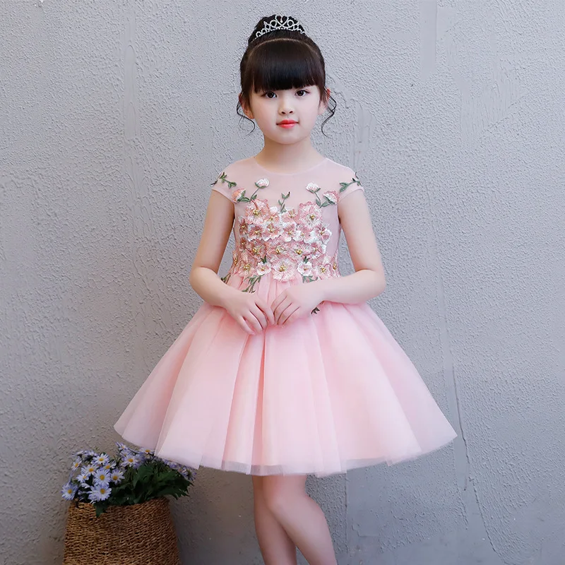

5-11 Years Pink Princess Dress Embroidery Flower Girls Dresses for Weddings Ball Gown Kids Pageant Dress for Birthday Costumes