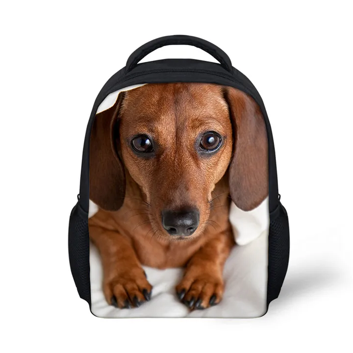 Dachshund Print Backpack Set For Kids and Girls