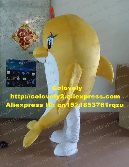 zz249.1