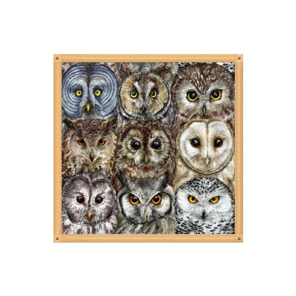 

Full Diamond Round Diamond 5D DIY Diamond Painting "Cute Owl" Diamond Embroidered Cross-stitch Rhinestone Mosaic