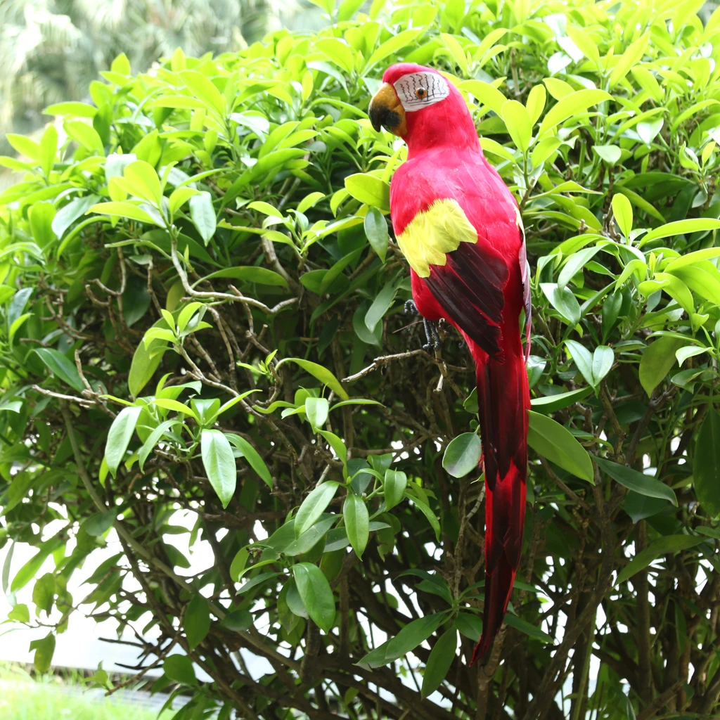 Set of 4 Feathered Realistic Parrot Home Garden Birds Decor Ornament