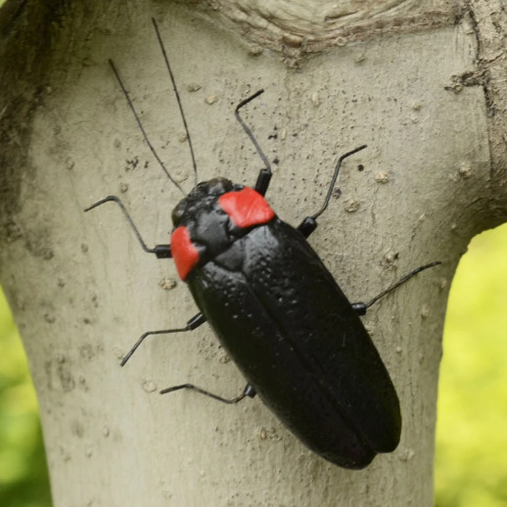 Fly Fishing 1pcs Bumble Bee Grasshopper Chub Beetle Dry Flies Realistic Insect Lure for Lure Kit Home Garden Decoration 