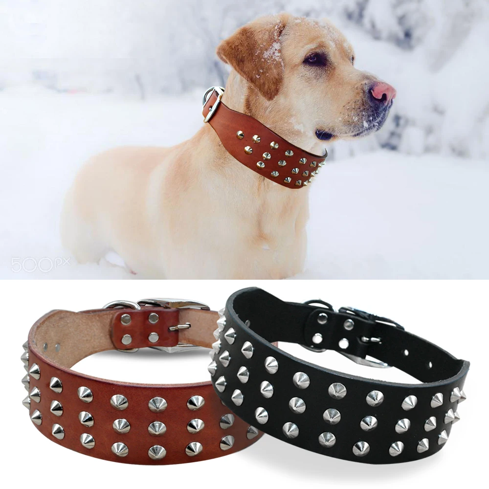 Keren Rivets Bertatahkan Kulit Asli Terbaik Kerah Untuk Anjing