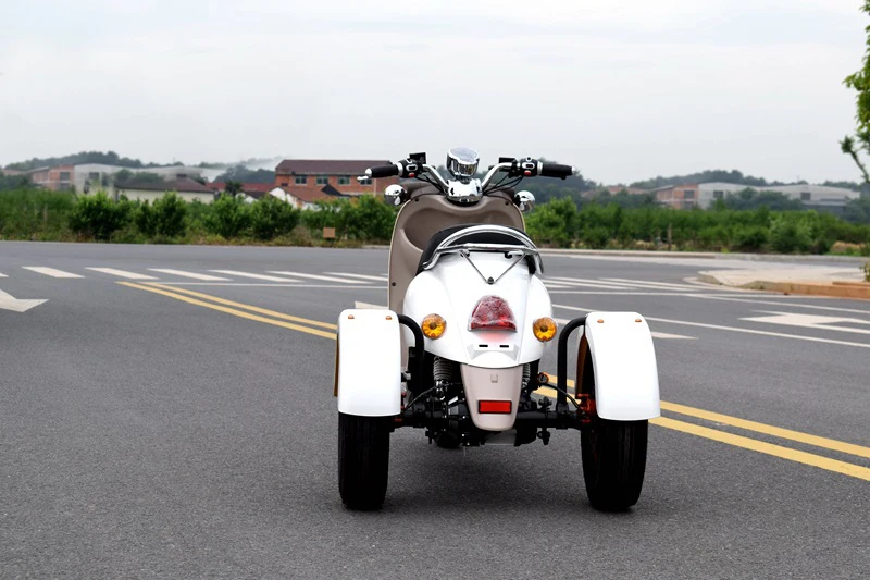 Discount 60V 1000W  Citycoco Electric Scooter Lead-acid Battery Three Rounds of Motorcycle Electric Motorcycles 4