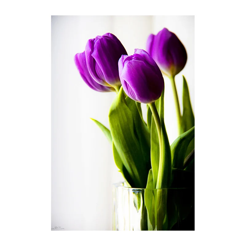 Full Round Diamond mosaic Flowers 5D DIY Diamond embroidery Cross stitch tulip Full Square Diamond painting Loves 8