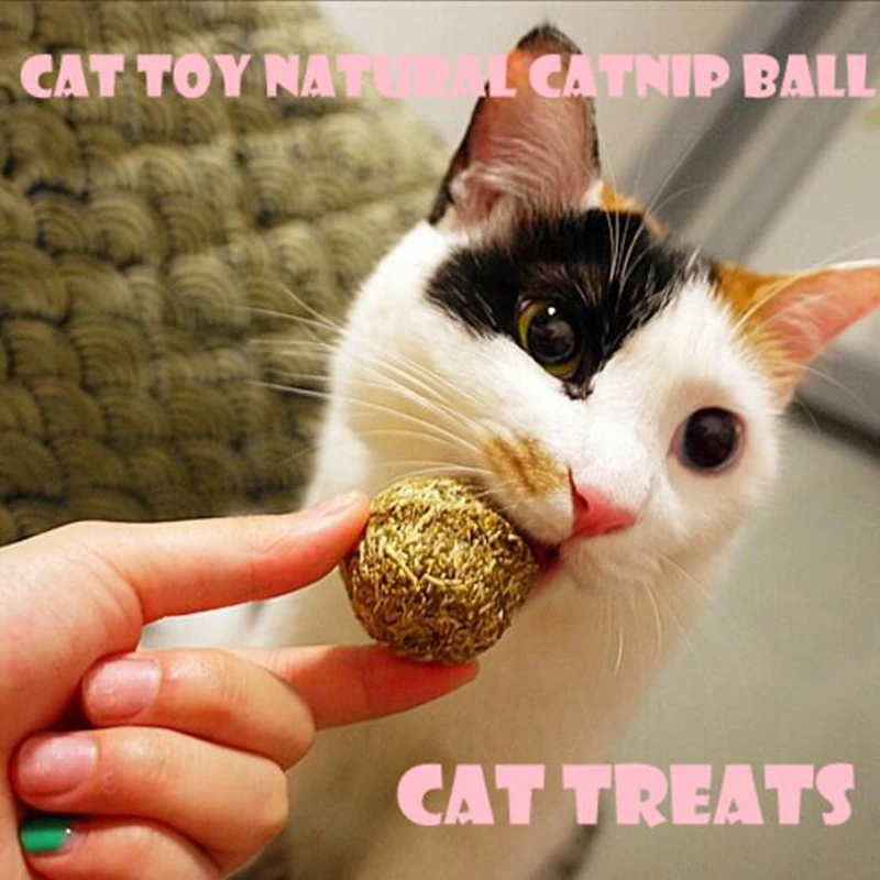 

Natural Catnip Ball, Menthol Flavor, Cat Treats, 100% Edible Cats-go-crazy Treats