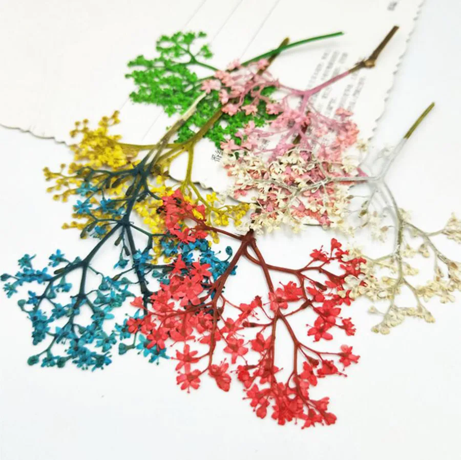 

60pcs Pressed Dried Dyed Elderflower Flower With Stalk Plant Herbarium Jewelry Postcard Invitation Card Phone Case Bookmark DIY