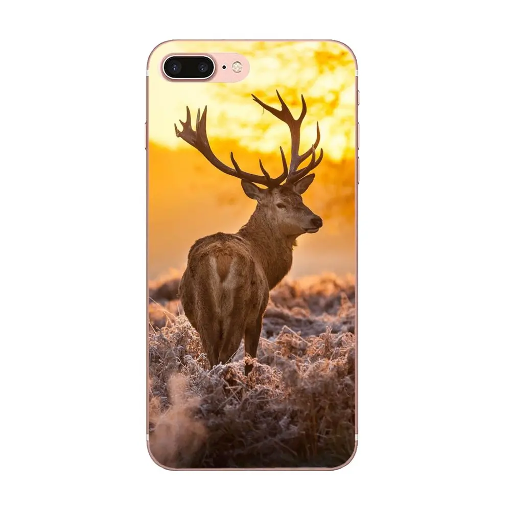 Охотничий олень мобильные чехлы для Apple iPhone 4 4S 5 5C 5S SE 6 6S 7 8 Plus X XS Max