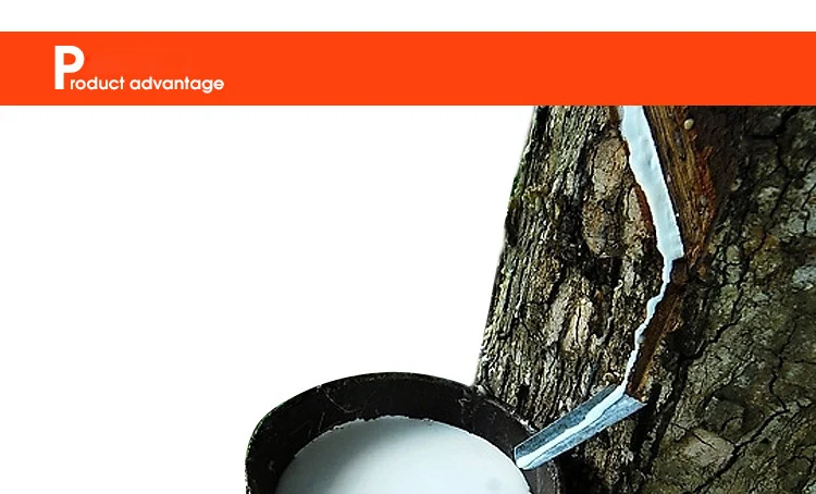 5321347967_564671597