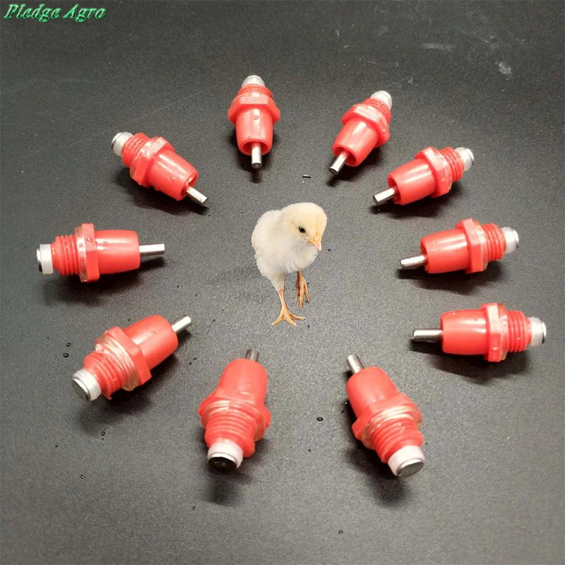 

10pcs nipple drinkers chicken waterer drinkers for chickens spring type cage accessories poultry animals farming mamelon buveur