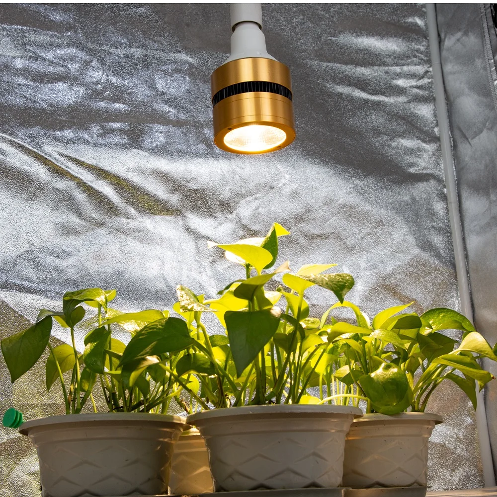 Светодиодный светильник для выращивания растений 120 Вт 150 Вт 300 Вт полный спектр COB светодиодный светильник для выращивания растений 110 В 220 В для комнатных растения парниковые цветения