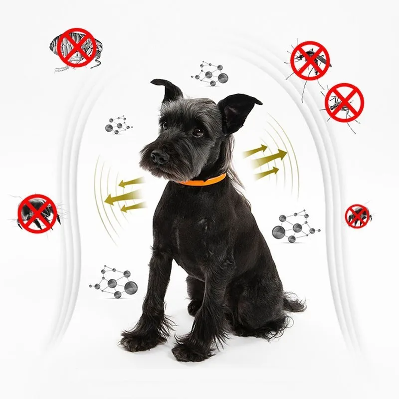Spring Summer Mosquito Repellent Small Dog Collar Pitbull Adjustable Puppy Collar Beagle Pet Accessories Cats Products For Pets