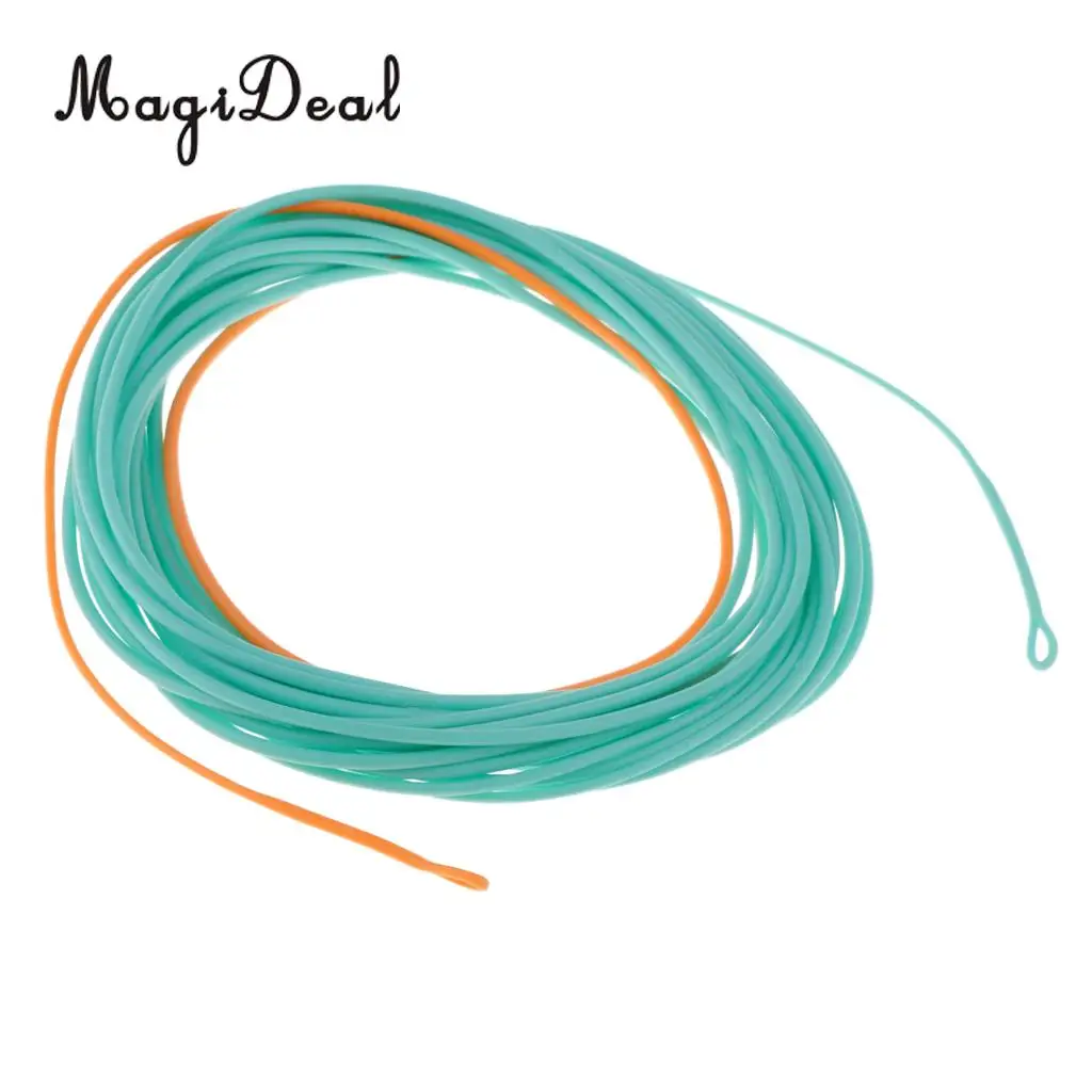 Skagit Shooting Head Fly Line 200gr-650gr 17FT-25FT Floating Fly Fishing Line with 2 Welded Loops