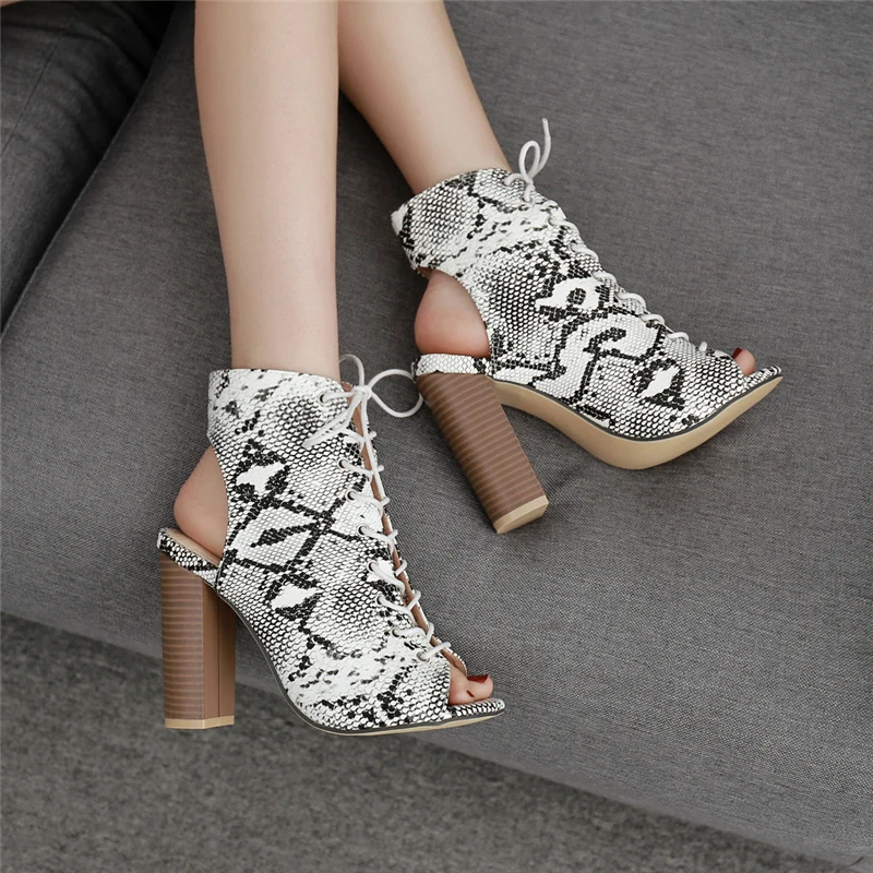 JT1A6250