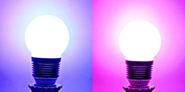 2015677614_1367409095