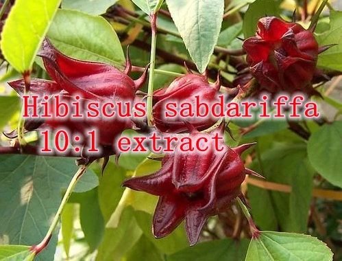 

1 Pack High Quality Natural Rosehip/ Hibiscus sabdariffa 10:1 extract rich of Anthocyanin 500mg x 100caps free shipping
