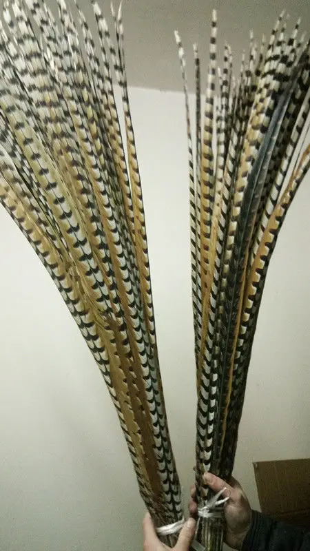 

Hot sales! 50pcs pretty 110-120 cm/44-48inches natural copper chicken feathers decoration diy collection stage performances