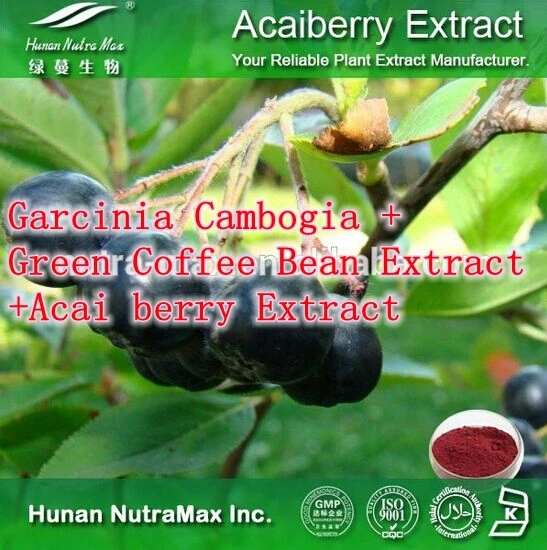 

Natural Weight Loss Ingredients Garcinia Cambogia + Green Coffee Bean Extract +Acai berry Extract 500mg x 300caps free shipping