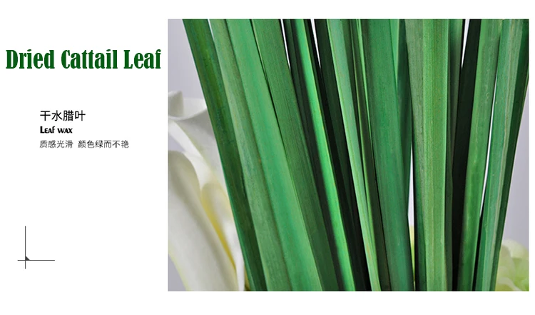 01 Product Image