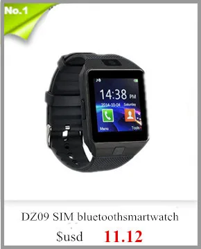 dz09.1