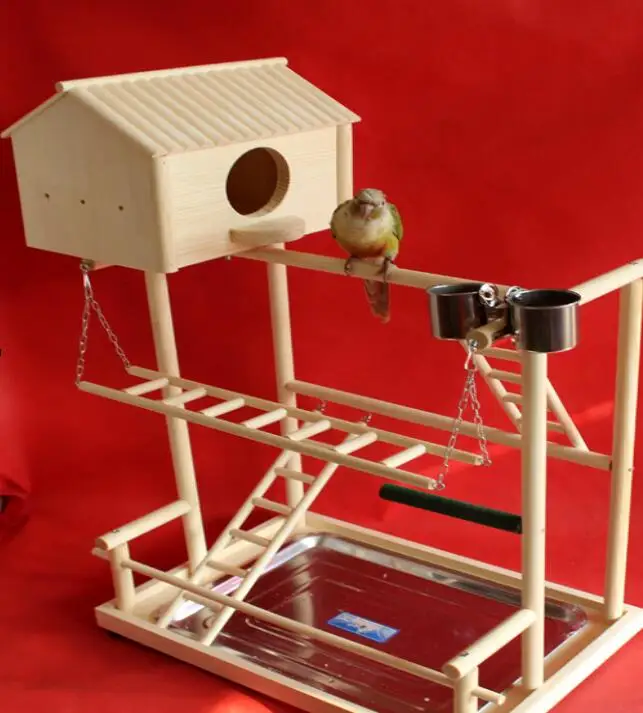 The Parrot Stand Tiger Parrot Bird Peony Sun Playground Swing Shelf