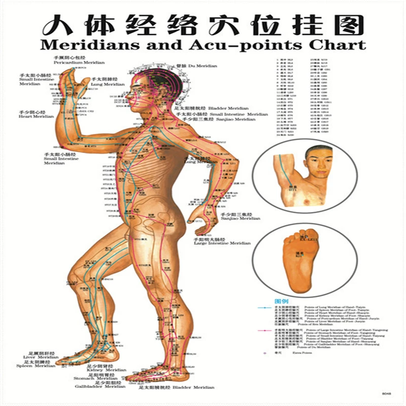 2017 Hot 7 pcs English Healthcare Human Acupuncture Wall Chart Diagram Foot Hand Head Ear Boby Acupuncture Meridian Chart