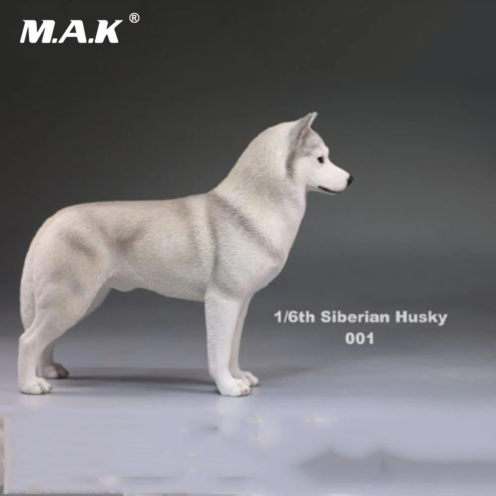 Экшн фигурка 1/6(12 дюймов) аксессуар 1:6 Сибирский хаски Имитация животных