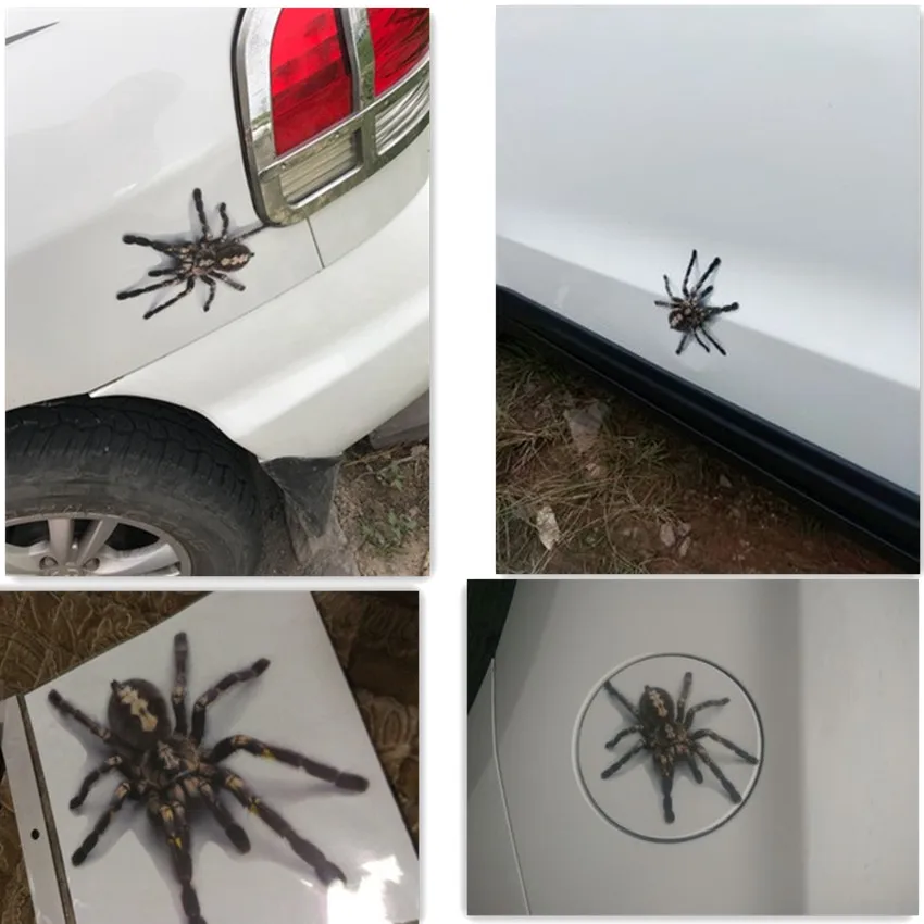 3д наклейка паук