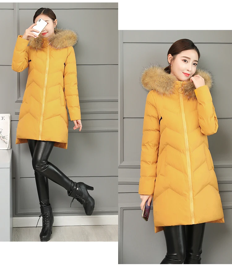 Jackets Women's Winter Long Jacket 2018 Cotton Padded Coat Women Fake Fur Collar Zipper Outwear Coats Female Slim Thick CH587 (6)