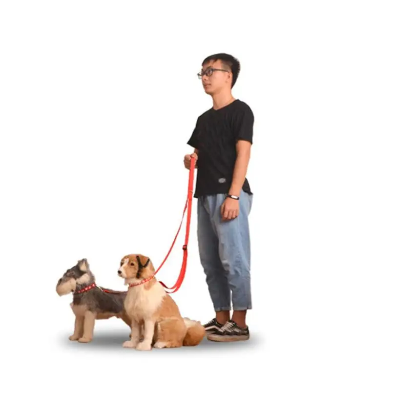 2017 Double Dog Leash for Two Dogs Rope whole length 205 257cm Leash