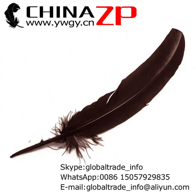 

No.1 Plumage Supplier CHINAZP Factory 500pcs/lot Fantastic Decorative Dyed Brown Turkey Quill Wing Feathers