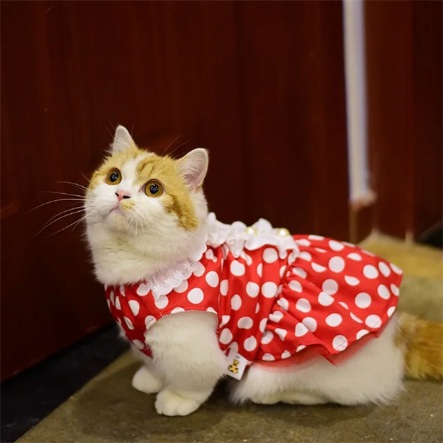 Dresses For Cats Cute Suit Thin Small Dogs Wave Pearl Clothes CatsPros
