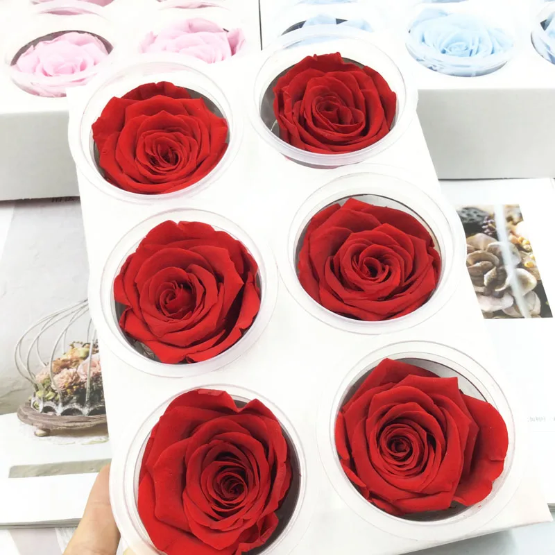 1 box High Quality Preserved Flowers Flower Immortal Rose 5CM diameter