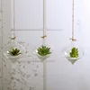 Garden Supplies