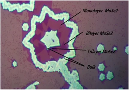 MoSe2-t2_