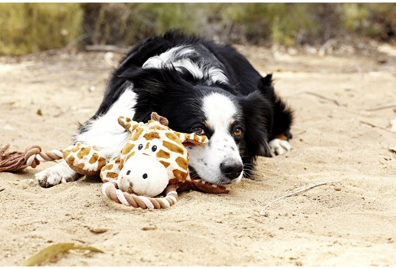 squeaky (garrafa de plástico dentro)-girafa chimpanzé crocodilo rinoceronte