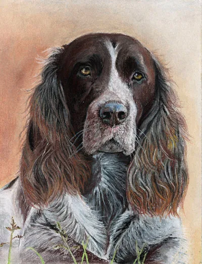 

TOP dog art painting-- German Spaniel Dog OIL painting---100% handpainted art -24 " - accept custom dog painting