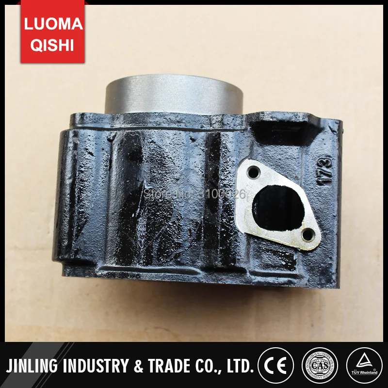 FA-D300-006-4-BUYANG-ATV-PARTS-ENGINE-CYLINDER