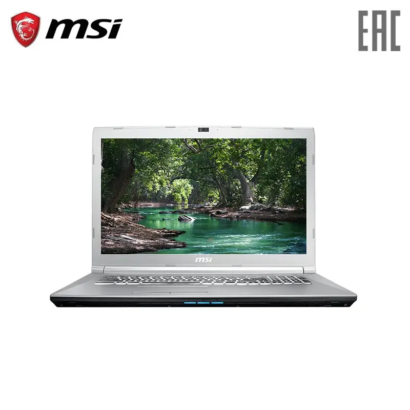 

Ноутбук игровой MSI PE72 8RD 17,3 "/i7-8750H/8 ГБ/1 ТБ/GTX 1050/NoODD/Win10/серебро (9S7-179F43-070)