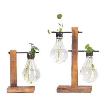 

Creative Hydroponics Plant Glass Furnishing Articles Iron Green Plant Transparent Glass Vase Home Decor Living Room Desktop Vase