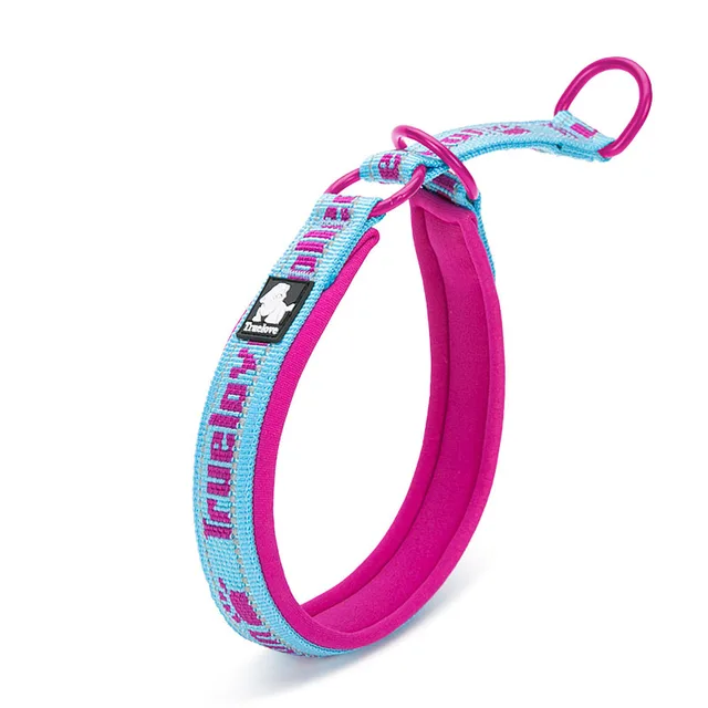 Truelove Neoprene Dog Choker Collar Nylon Soft Embroider Dog Slip Collar Training Reflective Adjustable Pitbull Collier Chien Fuchsia