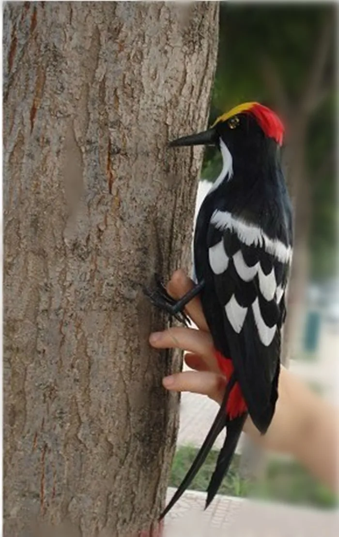 

30CM feathers woodpecker bird hard model,polyethylene&furs handicraft Figurines&Miniatures decoration toy gift a2851