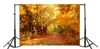 Laeacco Autumn Scenic Backdrops Landscape Yellow Forest Maple Trees Leaves Road Photography Backgrounds Baby Portrait Photophone ► Photo 2/6
