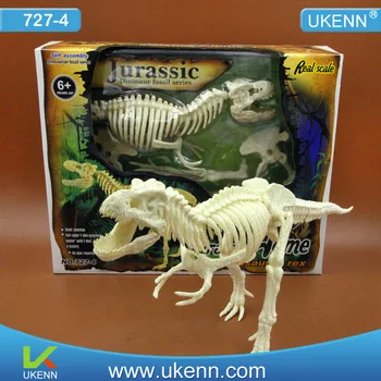 

Big Size 50cm 4D Assembled Dinosaur Dinosaur Skeleton Model