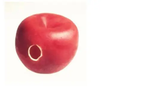 Резиновая Apple/Magic Trick, ментализма, этап магия, комедии, закрыть, Интимные аксессуары, иллюзии Magia Игрушечные лошадки, гаджеты, шутка
