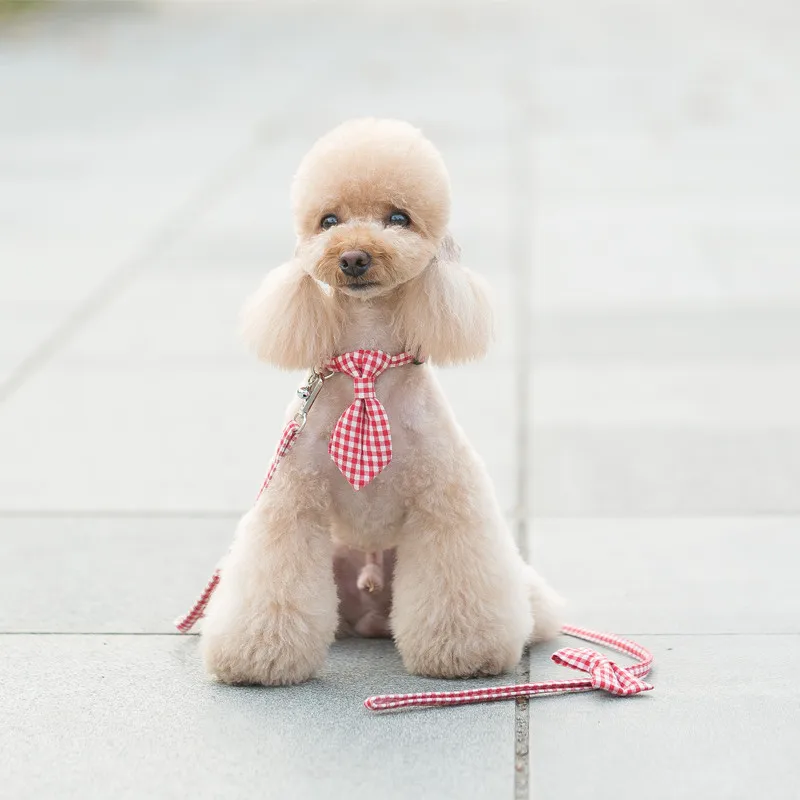 

Dog collar and lead set with tie personal custom adjustable pet pupply100% cotton dog &cat neck Dog Leash and Harnesses