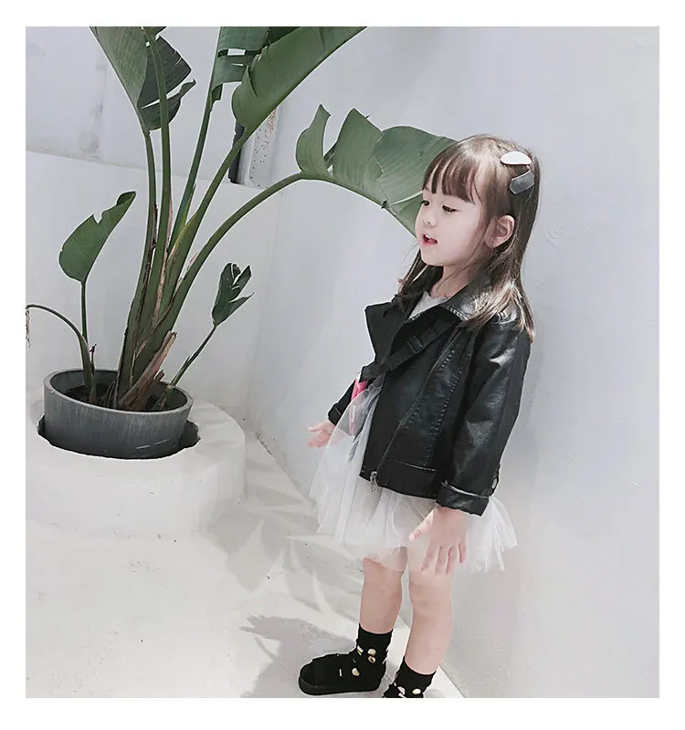 DA0082 (15)